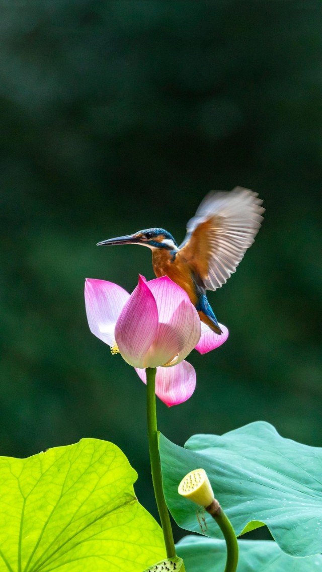 给懒女人的忠告,懒女人最好的解决办法