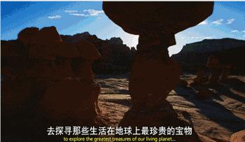 长春家长都领着孩子在干这件事儿,你没做,就落后了!