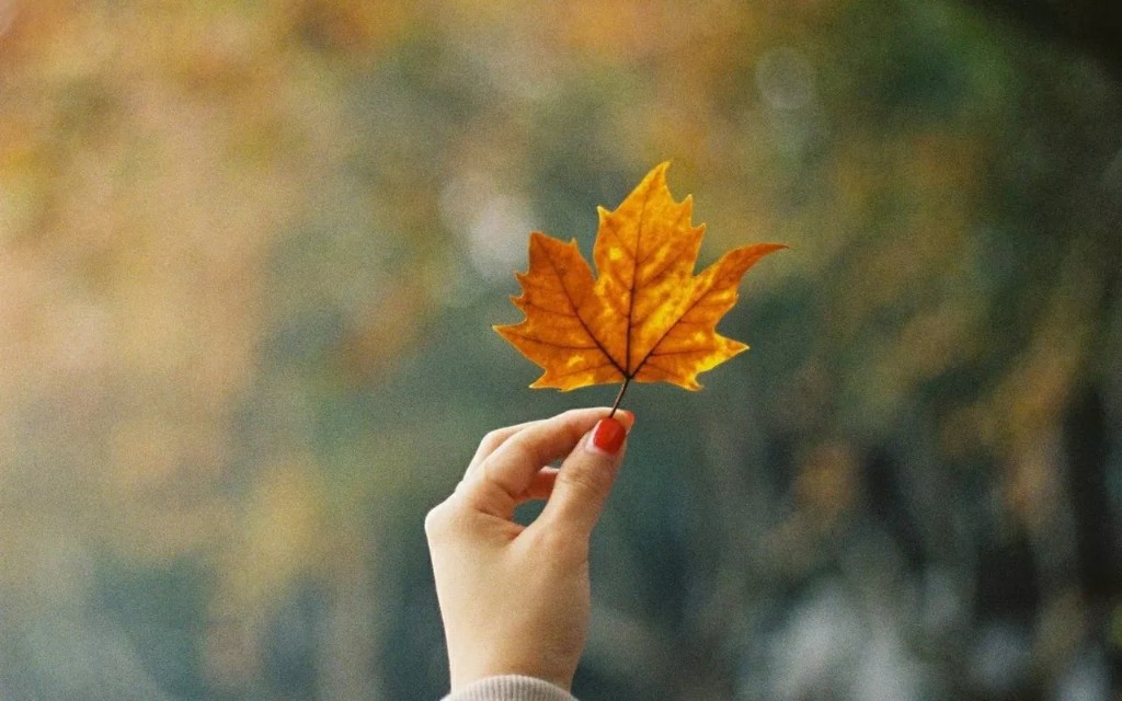 余生不长好好对待至亲至爱的人,好好珍惜那个至亲至爱的人