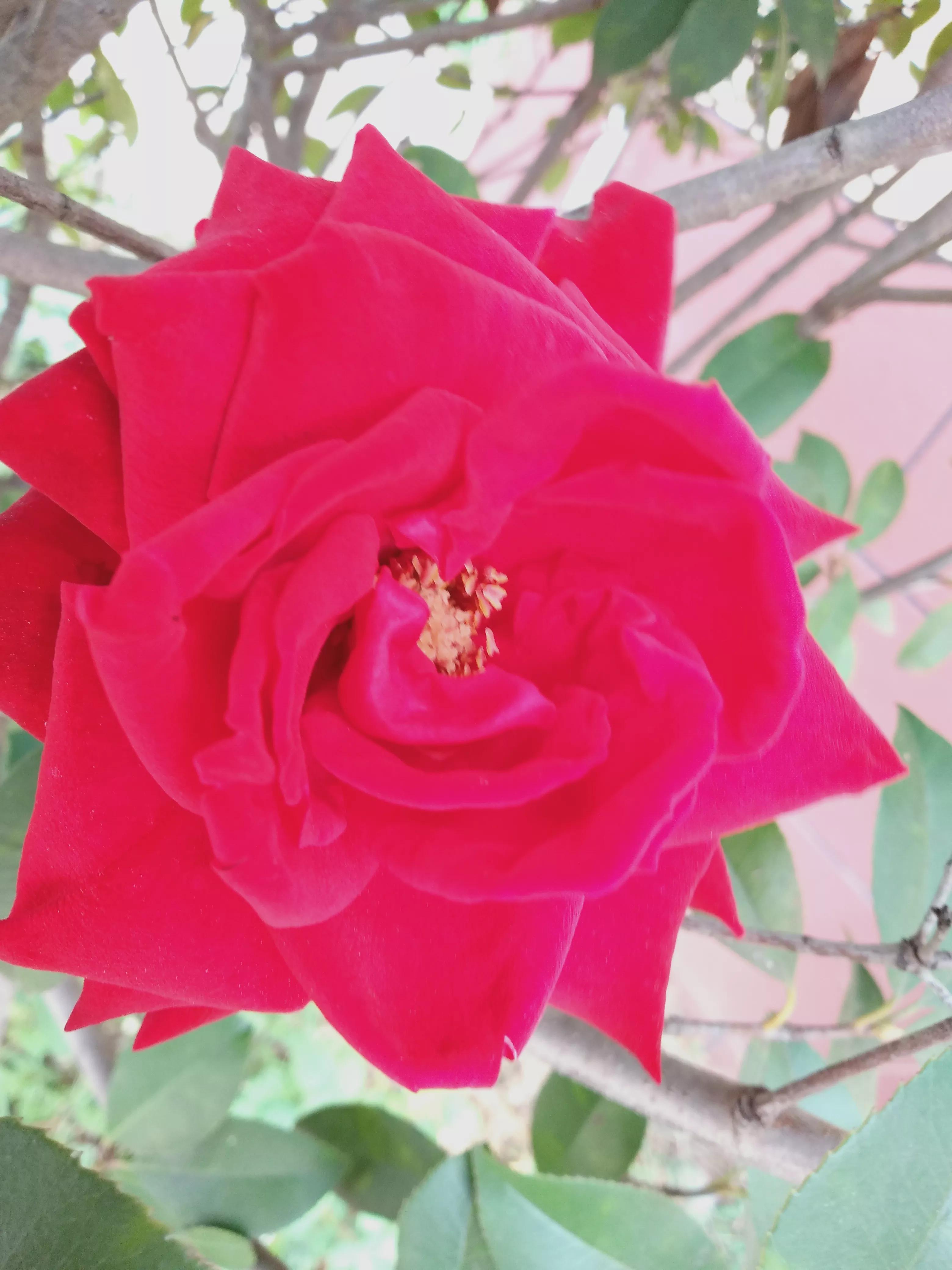 二十四节气中属于春天的节气有,二十四节气歌课文与节气对应图