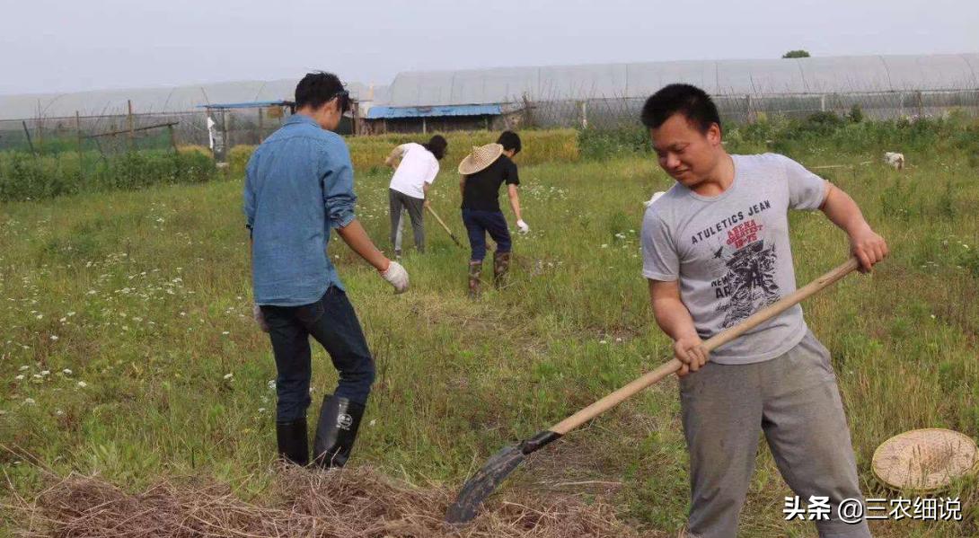 农村光棍脱单最好的方法,中国3000万光棍的出路