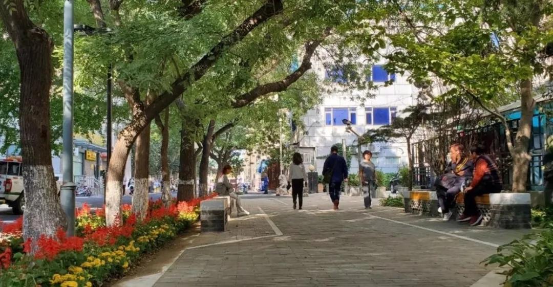 东城区发展规划,东城区文明城规划