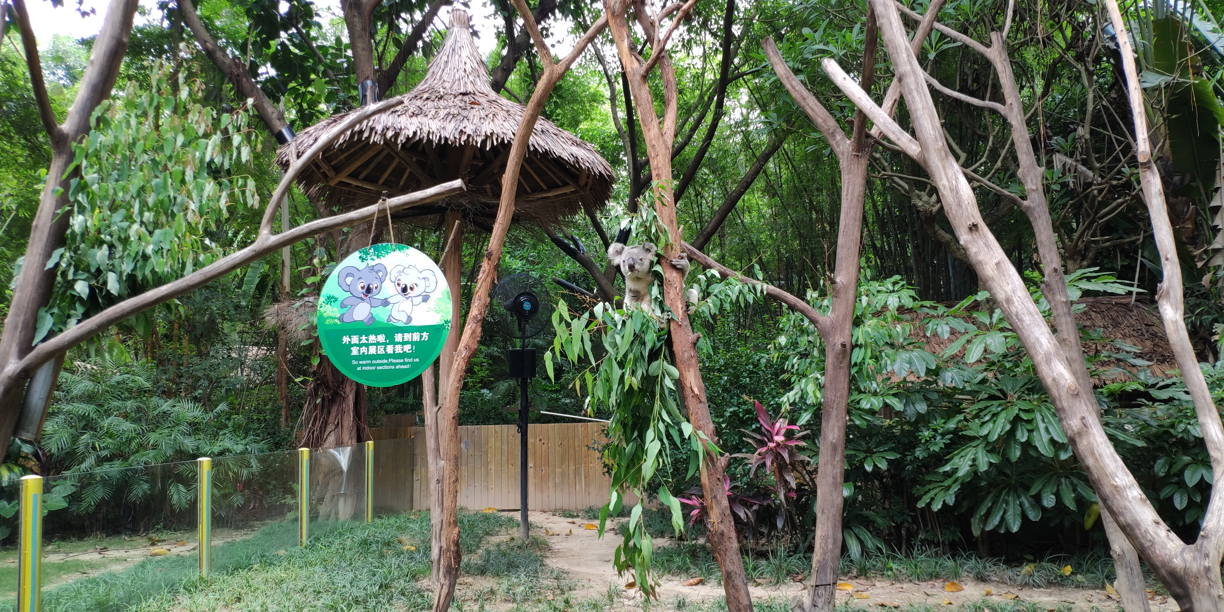 暑假带娃去广州长隆野生动物世界,周末亲子时光广州长隆野生动物园