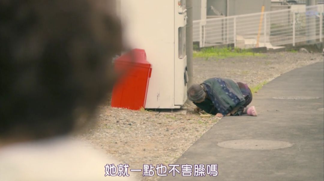 上半年值得期待的新剧,2020豆瓣9.8分以上的剧集