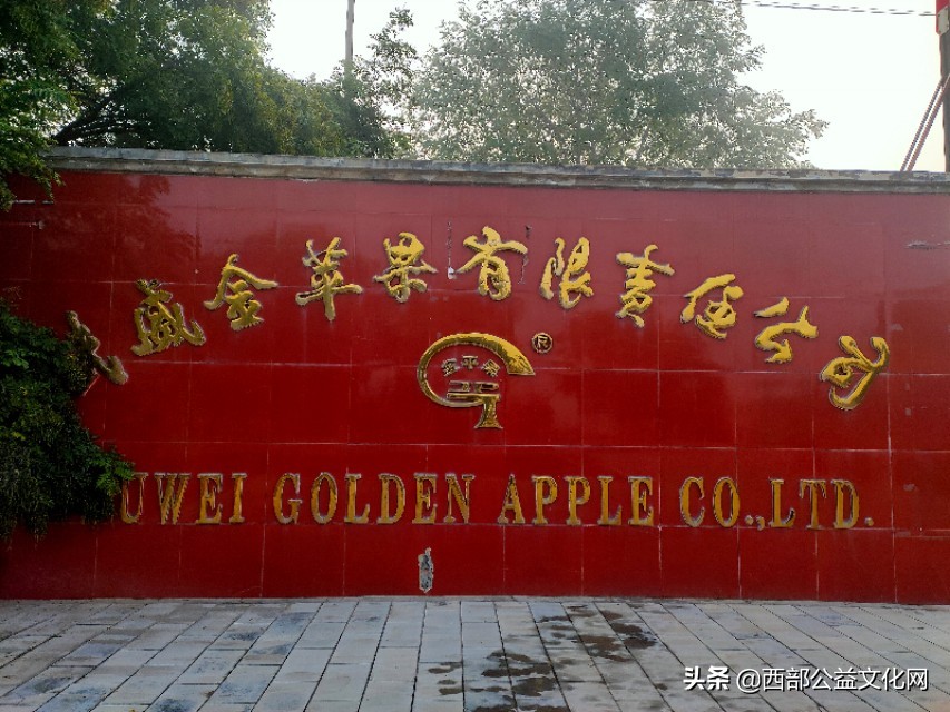 金苹果，是河西走廊一颗璀璨的明珠