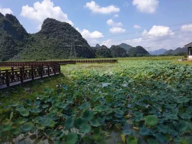 百里山水画廊深度,百里画廊风景如画心旷神怡