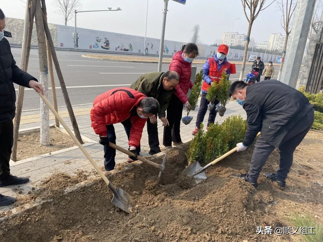 社区建设社区治理,北京顺义区空港街道吉祥花园