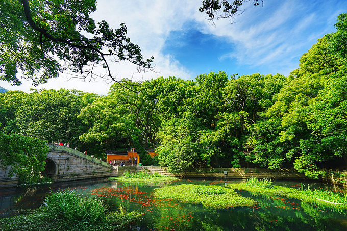 探寻浙江古村落,探索老建筑