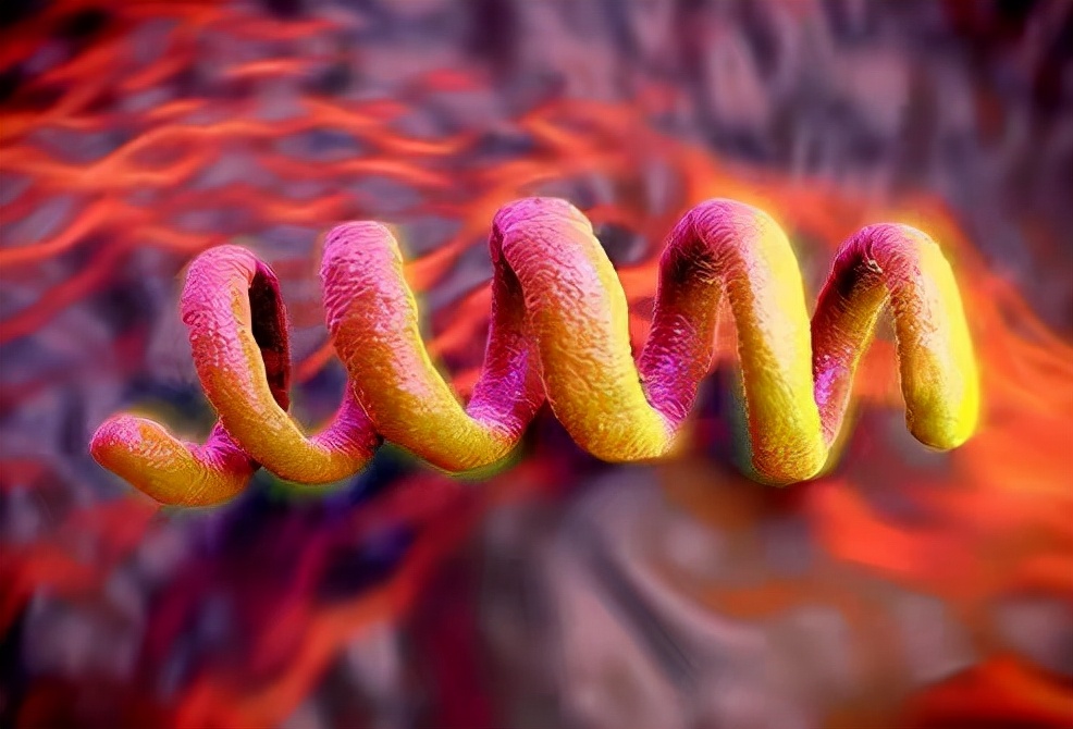 婚后查出梅毒婚姻有效吗,结婚后发现对方隐瞒患过梅毒