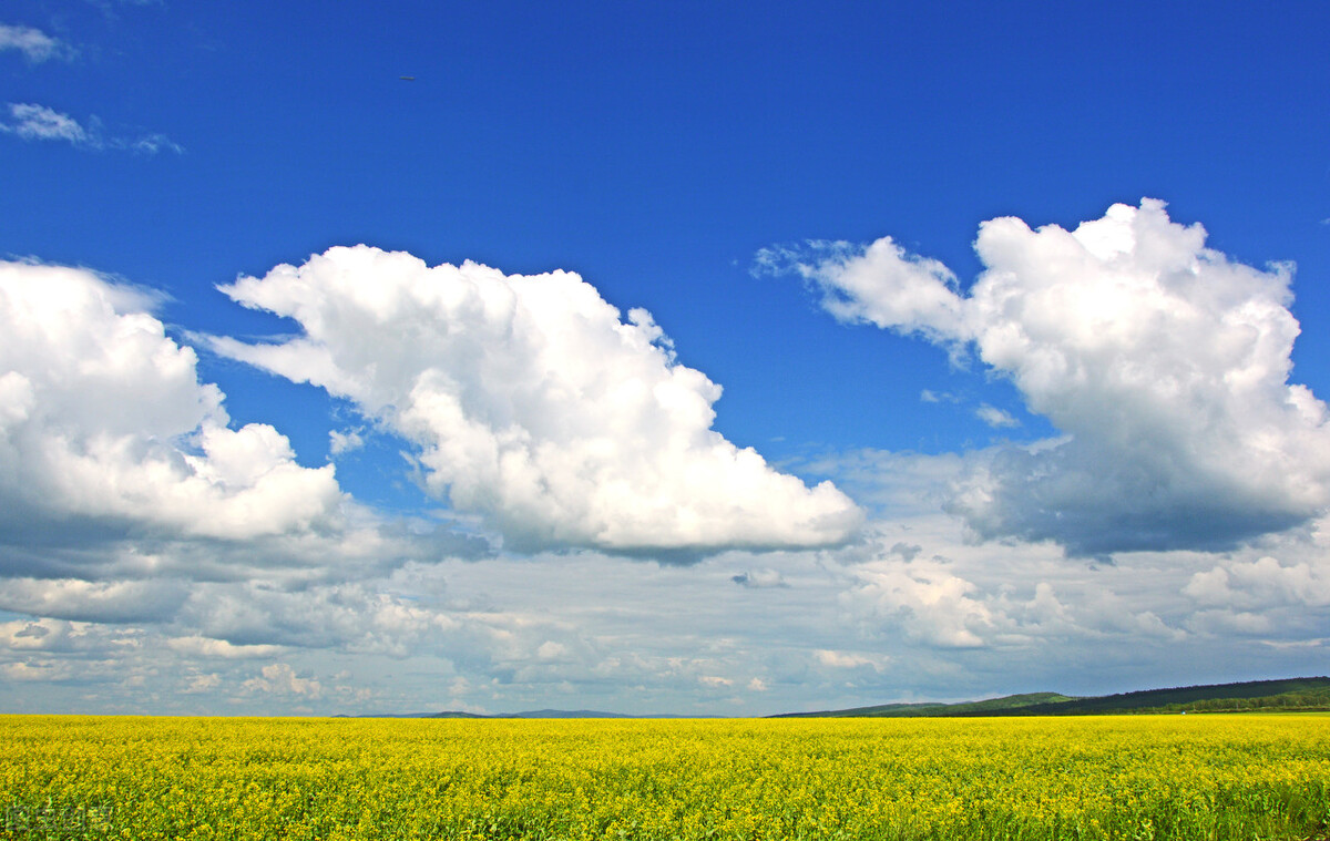 中老年女人肾虚怎么补,女性肾虚的十大食疗滋补方法