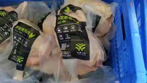 我们在距芜湖70公里的古坝村,找到了向往的生活