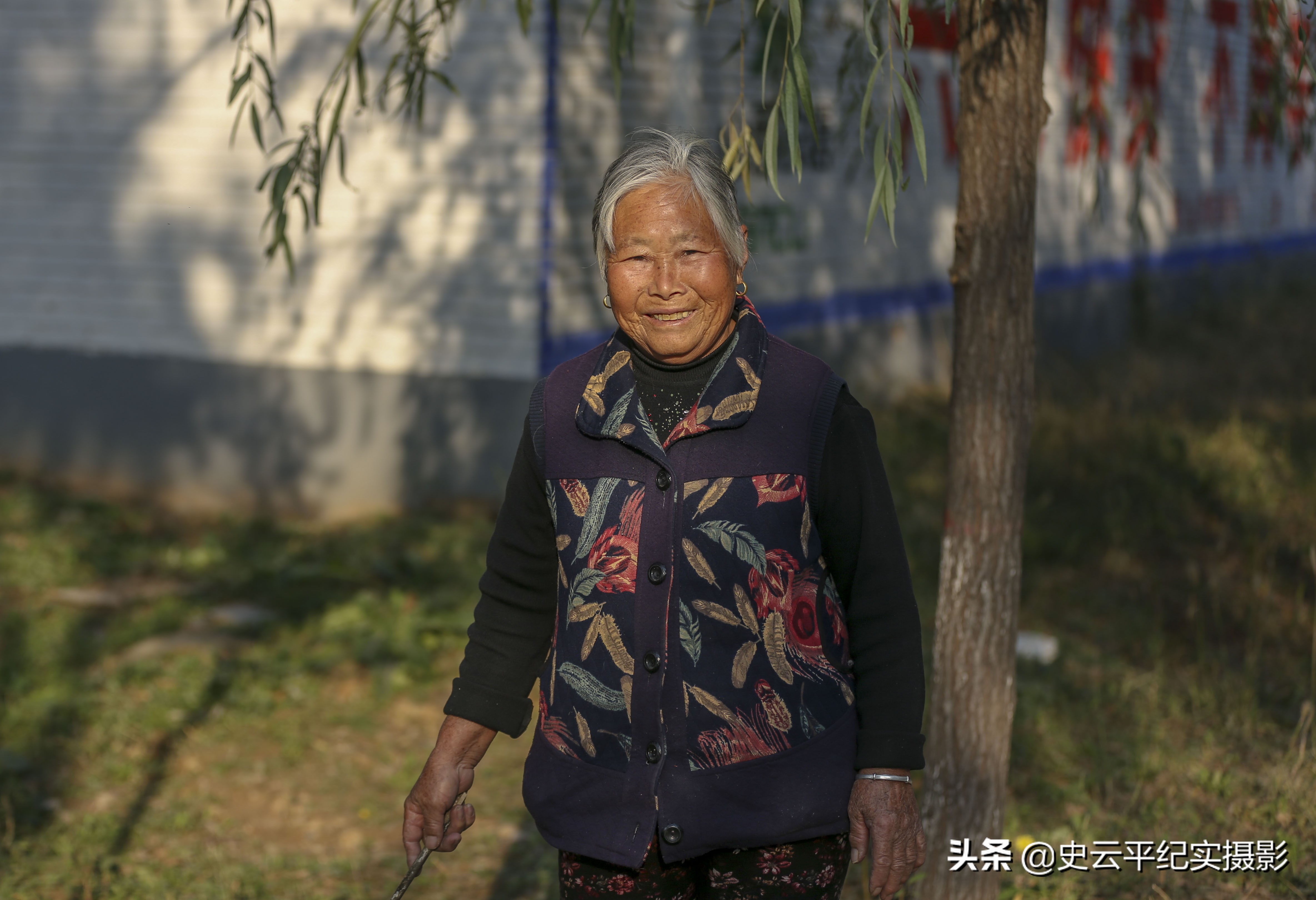 孙子给奶奶买一只小狗,孙子给奶奶买了只鸵鸟