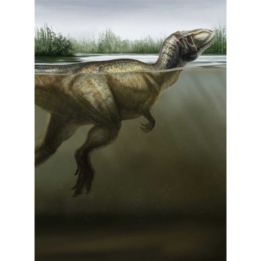 你知道恐龙会腰疼吗？让非主流恐龙记，告诉你这些“冷门”科研