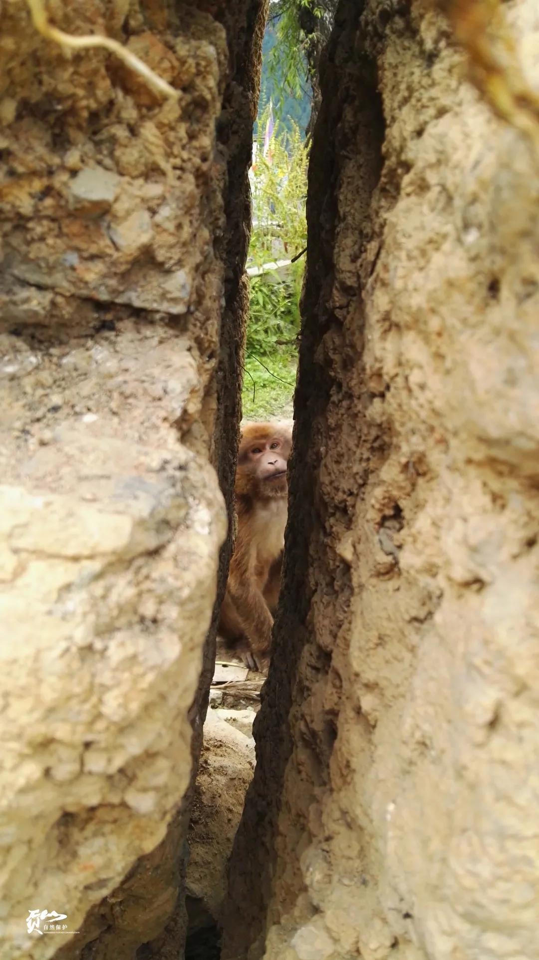 遇见怒江丨这是“我”手机镜头里的贡山风光