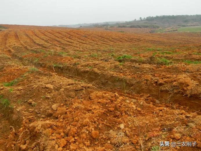 遇到拱地边的邻居咋办,农村拱地边怎么处理