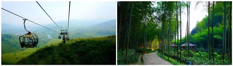 扬帆再起航完整版,扬帆再起航视频完整