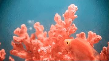 2019最in流行色你猜对了么,听说2020年的流行色是经典蓝色