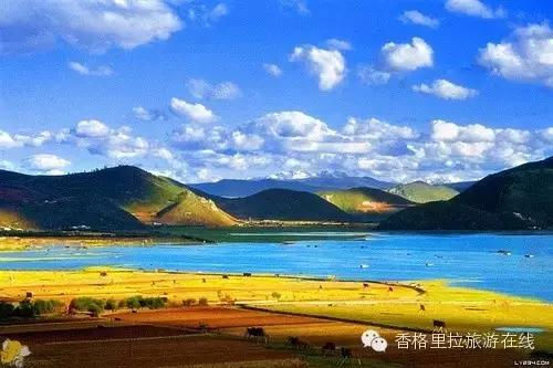 香格里拉除了景点还有好玩的地方,丽江去香格里拉路途中有什么景点