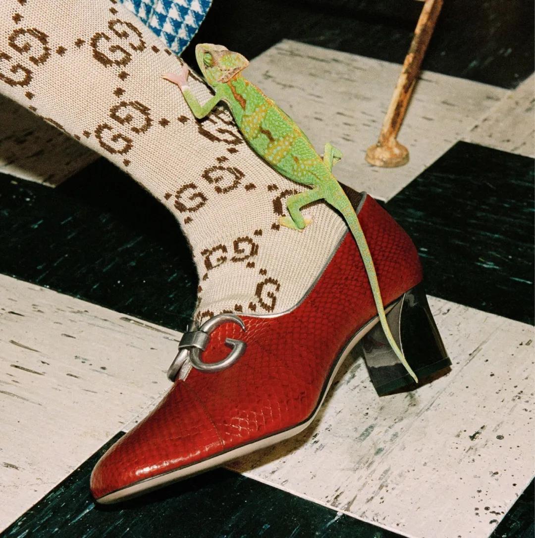 你也土过，别拿巴黎世家撒气