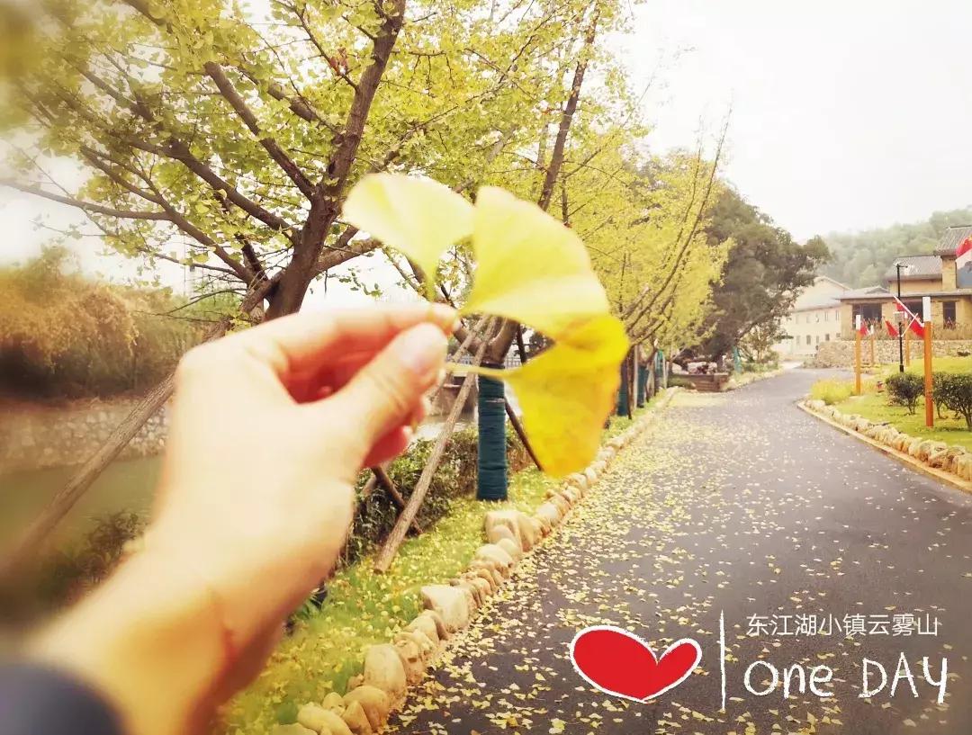 云雾山最近的路线,云雾山二日游