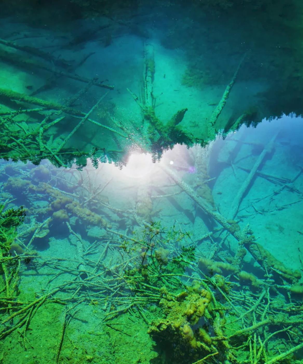 成都出发九寨沟门票,成都出发九寨沟自驾多少钱