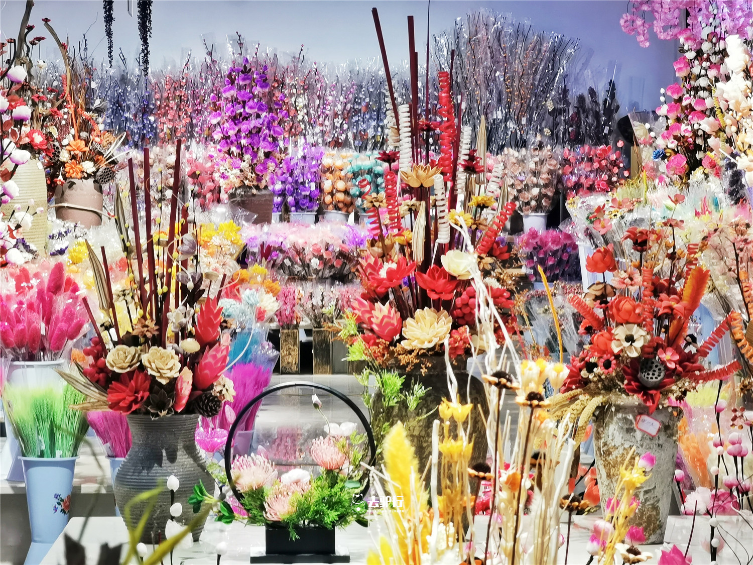 中国最大的鲜花批发市场在哪里啊,中国最大的鲜花市场