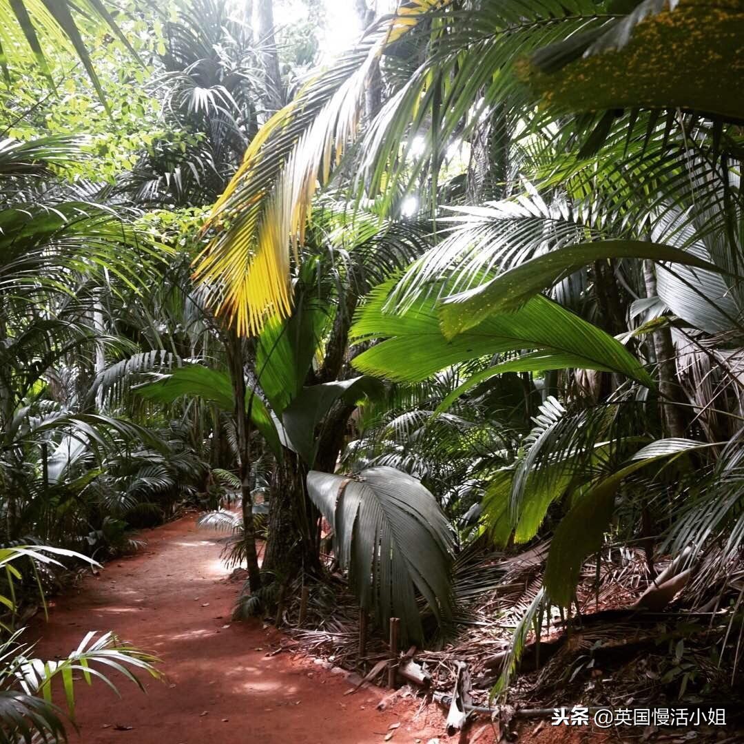 呼吸纯净空气，探寻塞舌尔畅快自由行