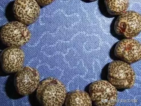 文玩菩提各种盘玩变化,文玩菩提的种类图解