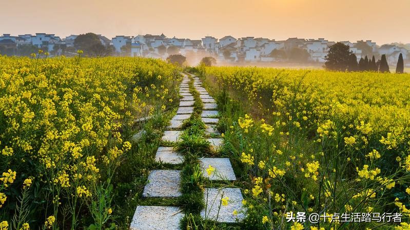 国际慢城高淳要门票吗,国际慢城高淳公司