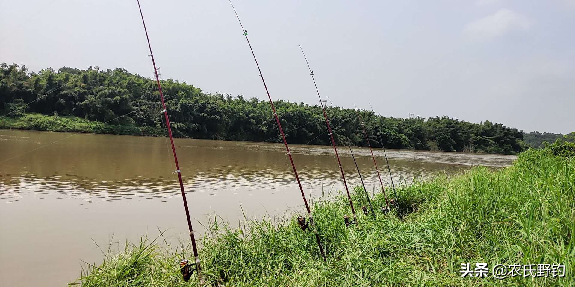 翻板钩最新钓法,翻板钩土鲮专用钩水下测评