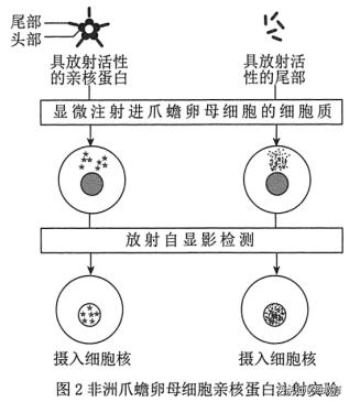 生物高考细胞膜知识点,细胞膜高考知识点
