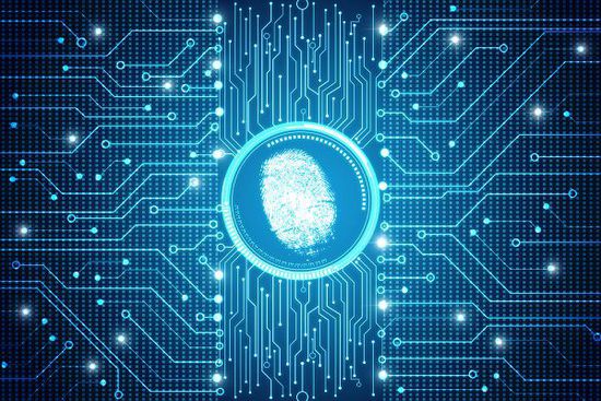 为什么每个人指纹不一样,为什么每个人的指纹都不一样呢