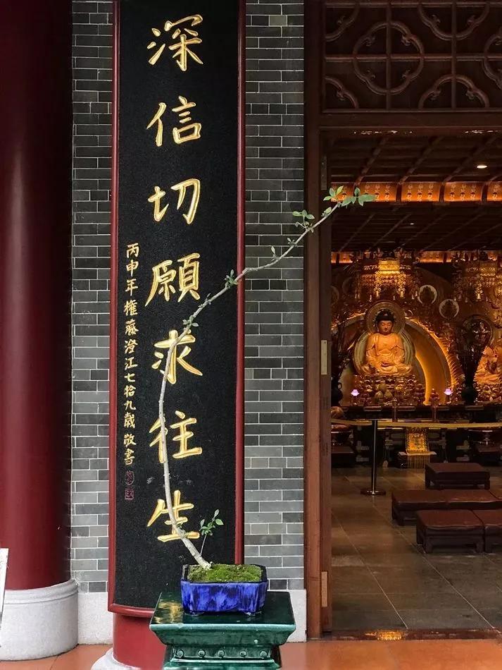 这份沉甸甸的文化宝藏值得收藏！禅风雅意系列讲座