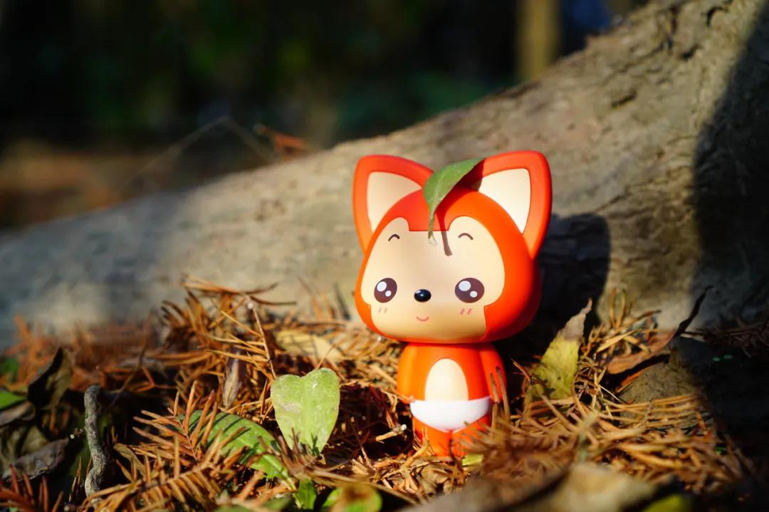 推荐几个宁波好玩的地方,宁波适合短途旅游的地方