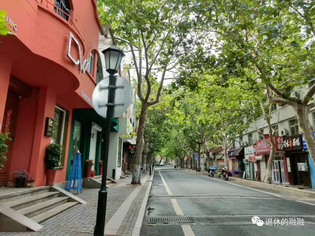 无花果12月结果,无花果叶子治痔疮的正确方法