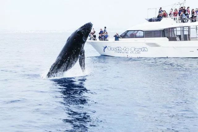 为什么日本人都爱反季节玩冲绳？温度适宜价格低，还有这些