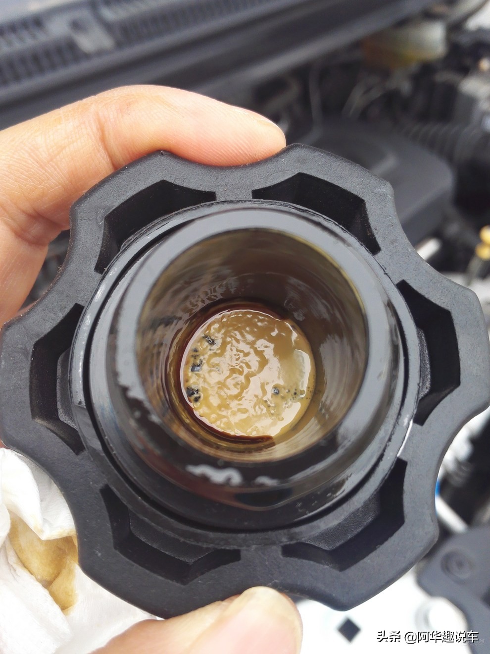 本田汽车和一汽大众哪个好,本田车与大众车哪个耐用