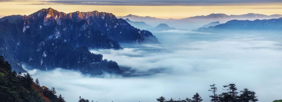 陈东升、阎志来站台,湖北这市又搞大事情