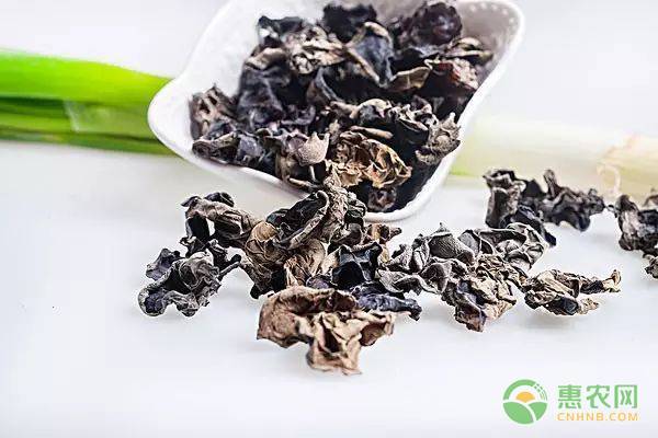 干木耳和干银耳保质期多长时间,干木耳行情