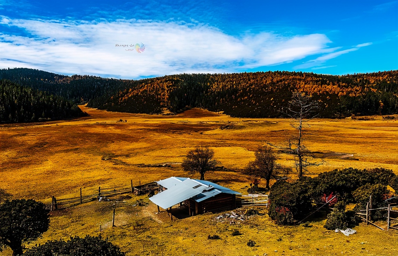从香格里拉到德钦沿途有什么景点,云南香格里拉旅游攻略必去景点