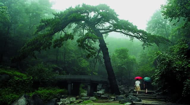 天津旅游攻略自然风景,天津自然风光景点有哪些地方
