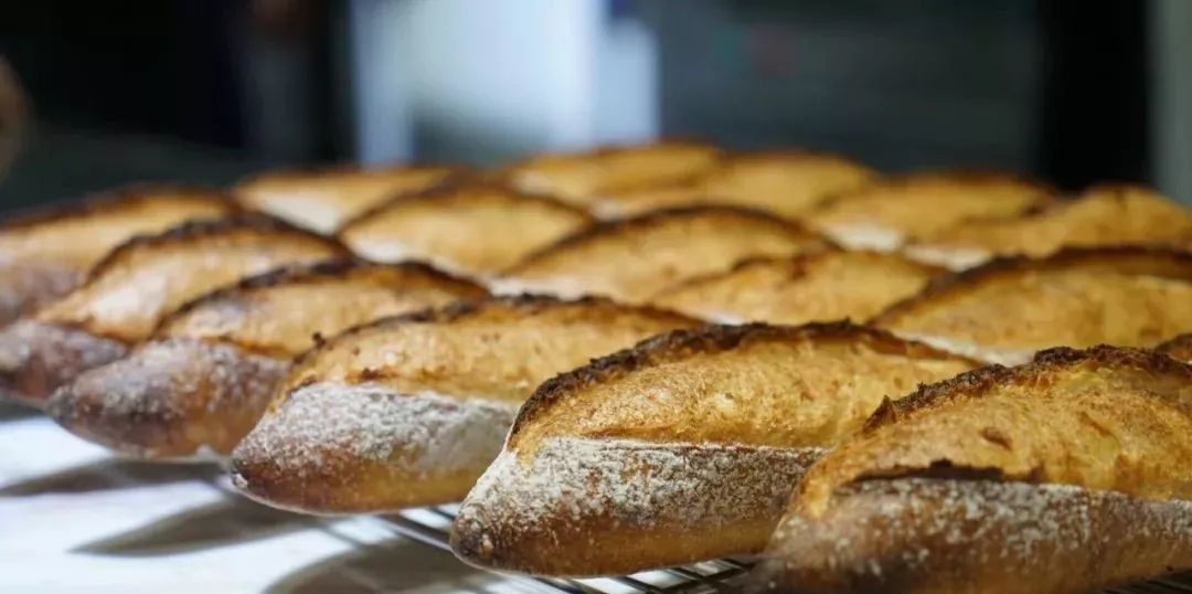 法国mof大师配方,法国橄榄香草面包