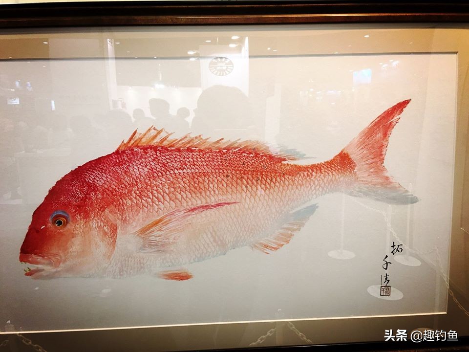 日本钓鱼具品牌排行榜,日本渔具钓具品牌大全图