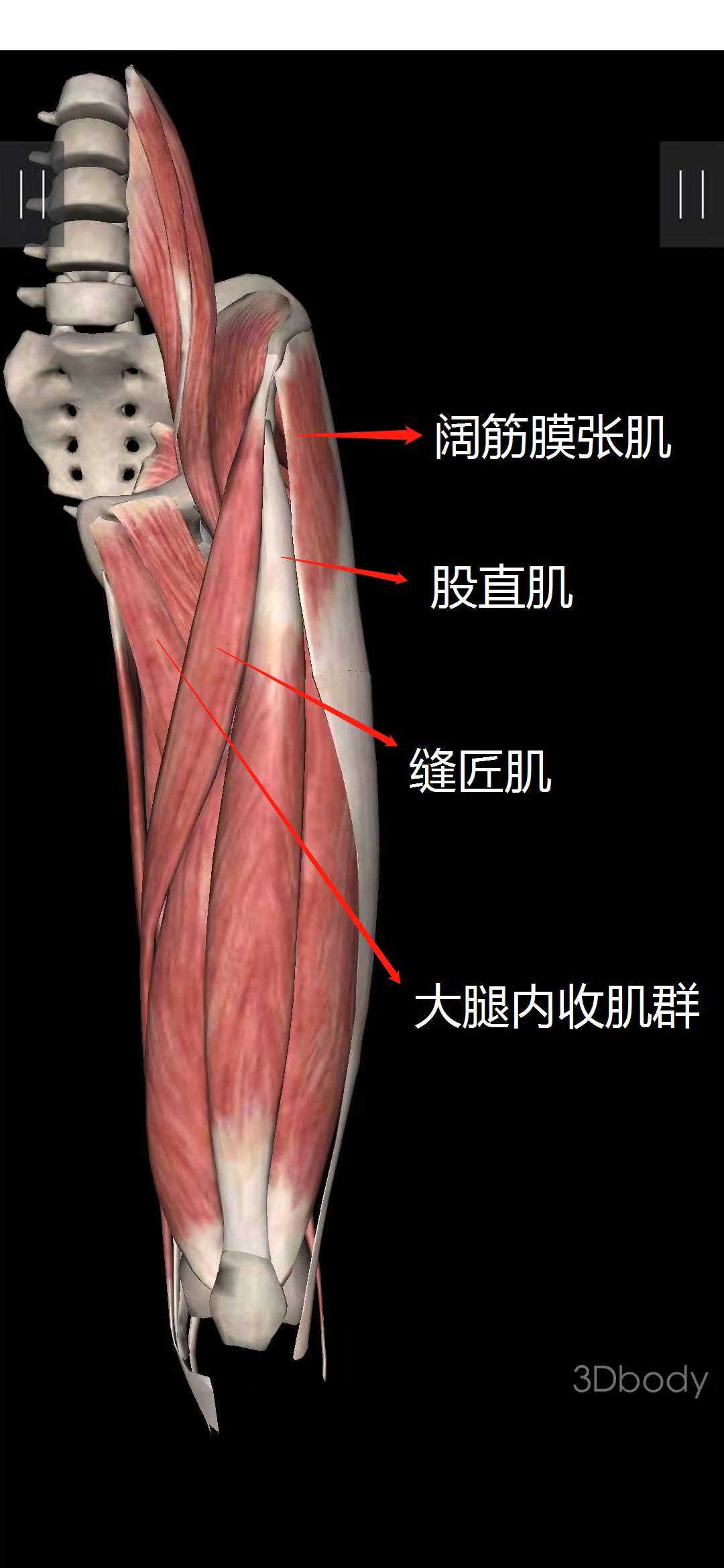如何看到真实的腿粗,你真的了解你的腰吗