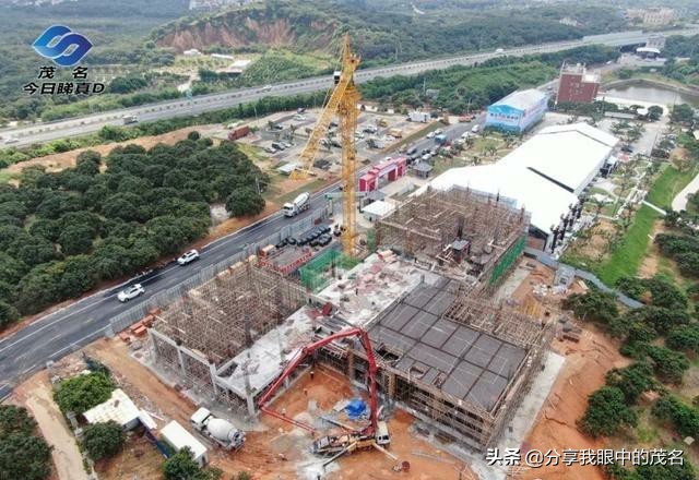 茂名荔枝大会,茂名市520荔枝产业大会