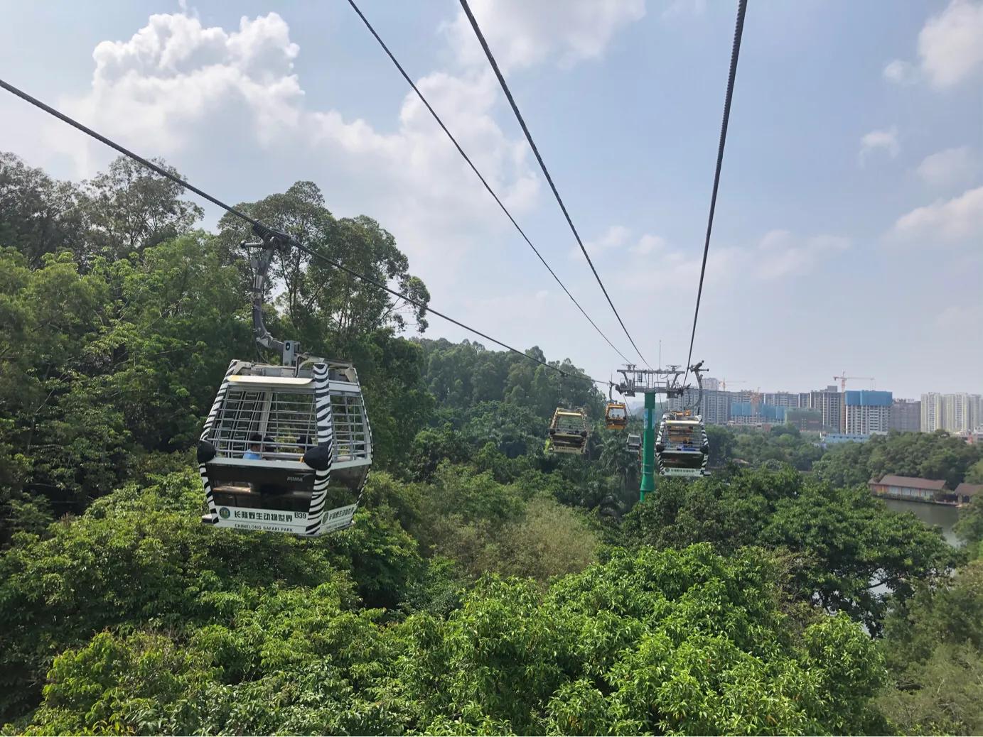暑期广州长隆野生动物世界门票,长隆海洋王国和野生动物园门票