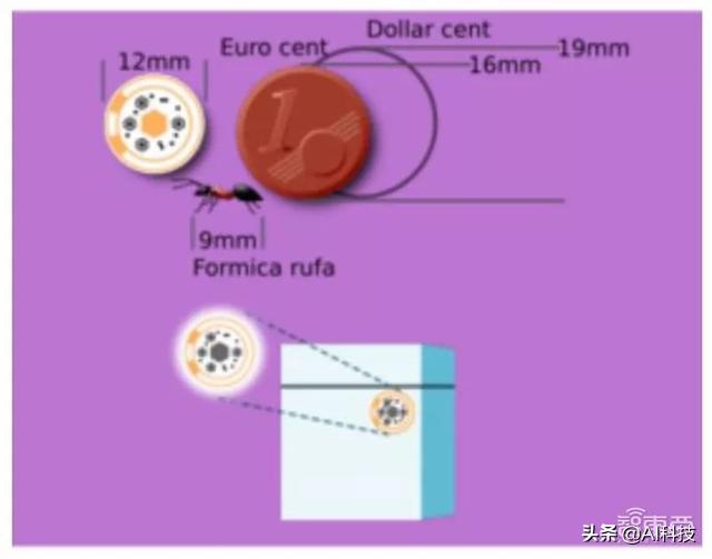 精准人工智能应用,金准数据人工智能预测