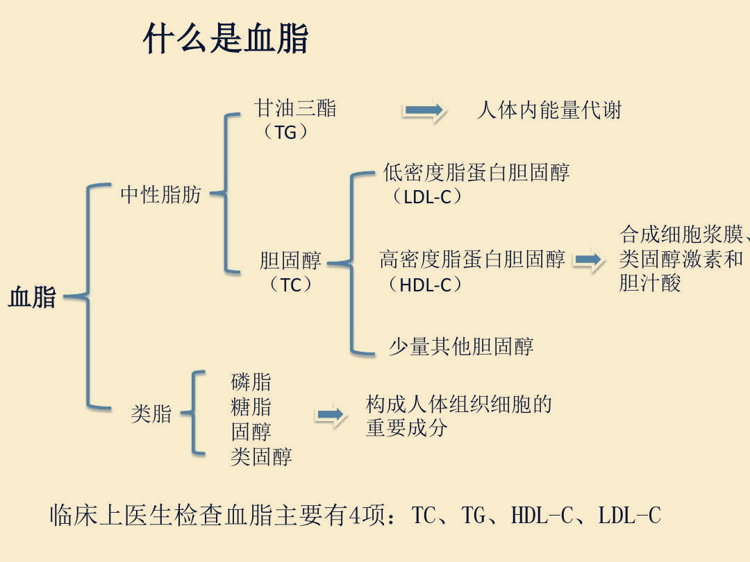 苦瓜提取物皂苷降血糖作用,苦瓜皂苷片的功效与作用