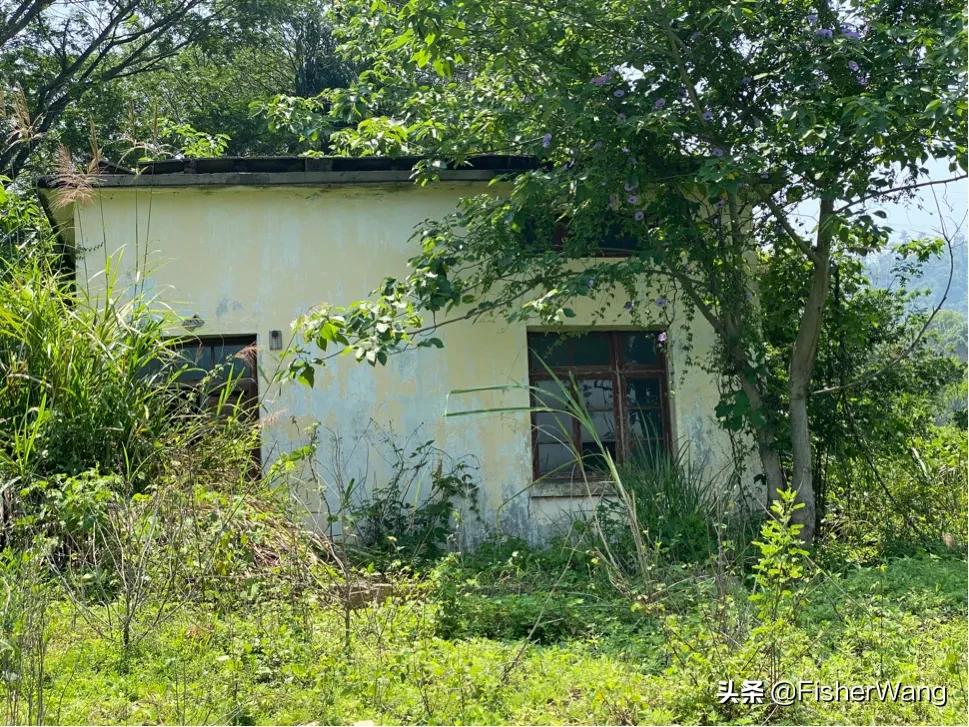 中毒or中暑，36度高温带两女生徒步，中道而退之登云-恩顶水库。