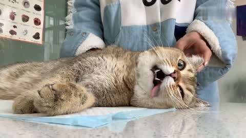 免拆线到底是拆还是不拆好,免拆线和普通线的利弊